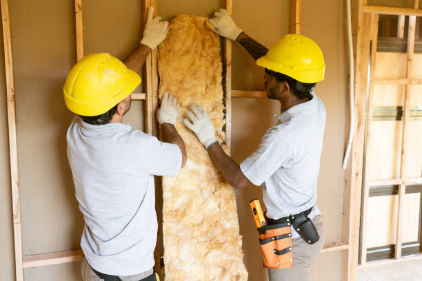 Best Insulation Contractors for Homes  in Central City, PA